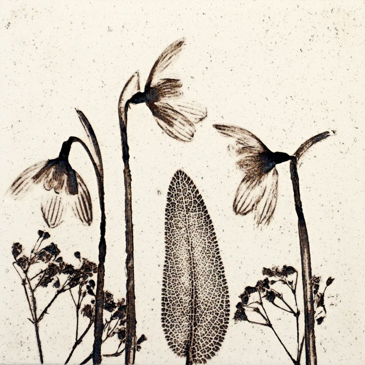 10cm Natural Snowdrop Tile