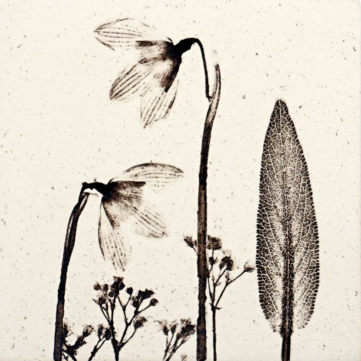 10cm Natural Snowdrop Tile