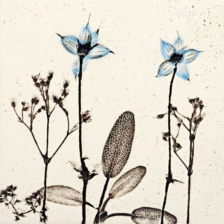 10cm Blue Botanical Tile