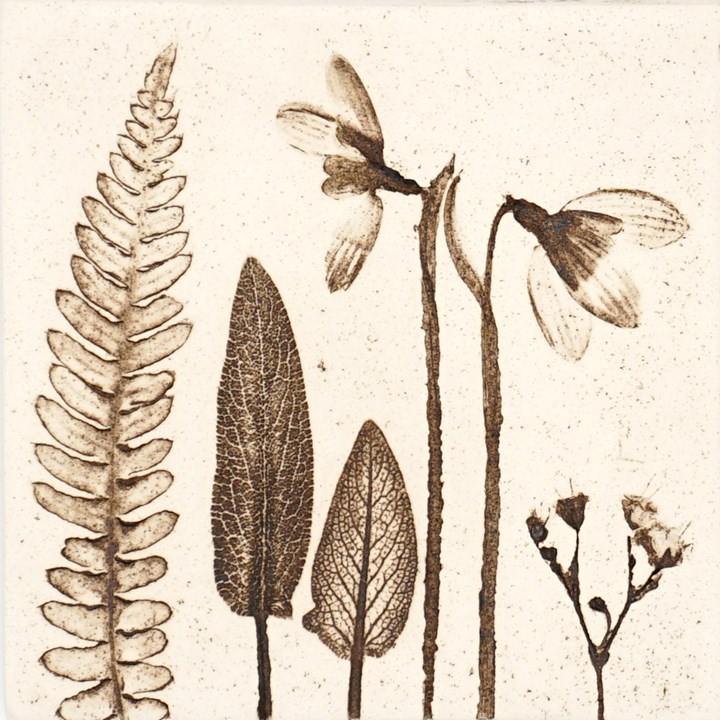 10cm Natural Snowdrop Tile