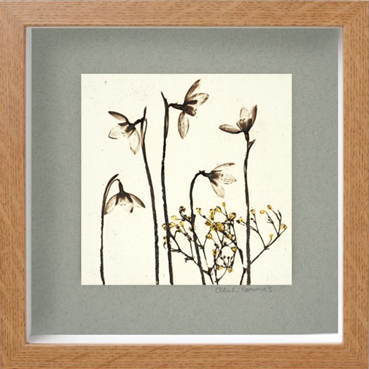 Box Framed Snowdrop Tile with 24ct Gold Leaf
