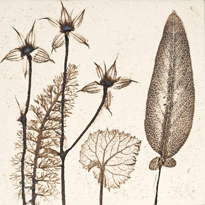 10cm Natural Botanical Tile