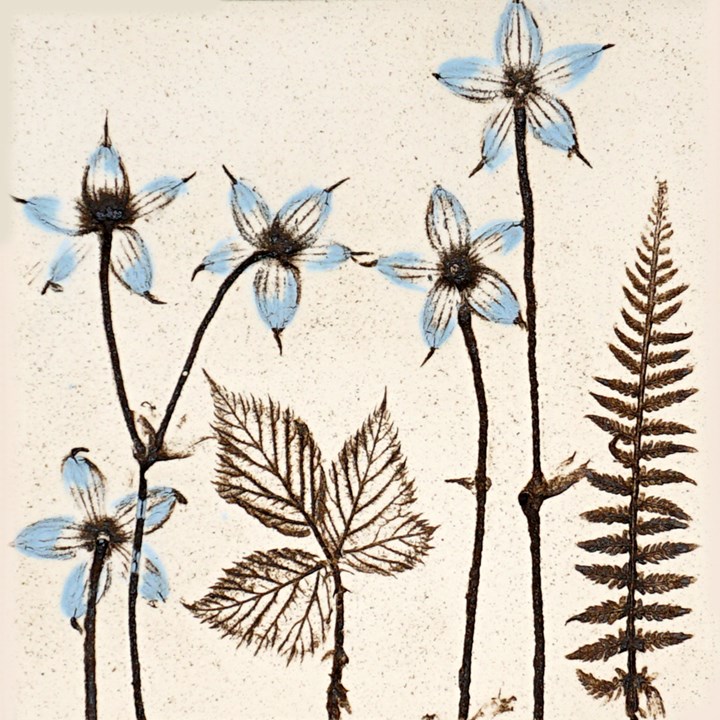 10cm Blue Botanical Tile