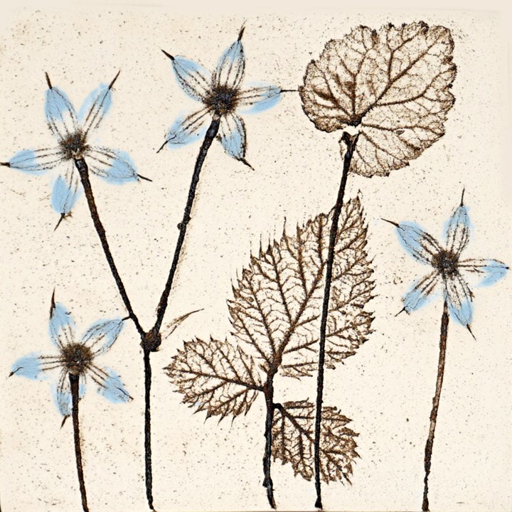 10cm Blue Botanical Tile