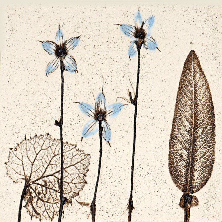 10cm Blue Botanical Tile