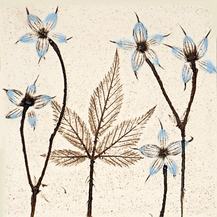 10cm Blue Botanical Tile