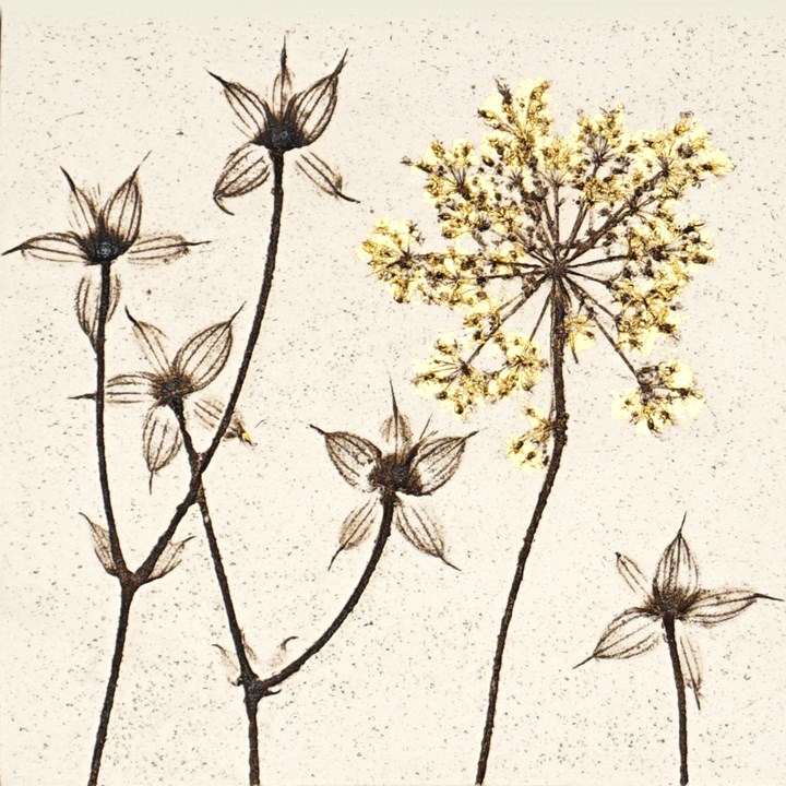 10cm Botanical Tile With 24ct Gold Leaf