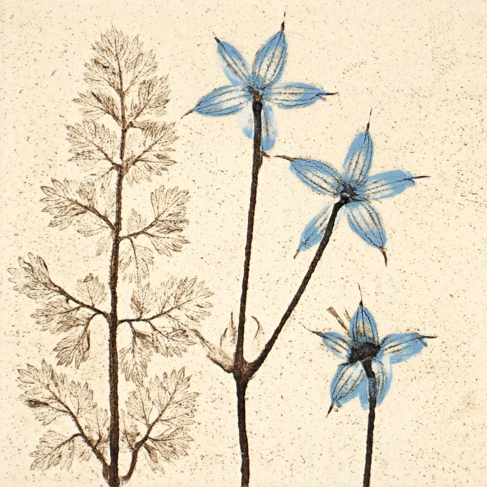 10cm Blue Botanical Tile