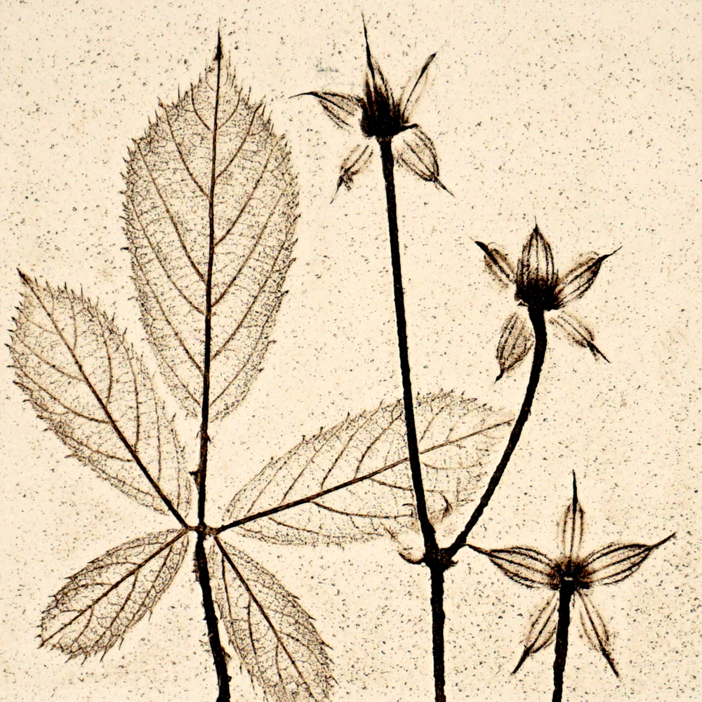 10cm Natural Botanical Tile