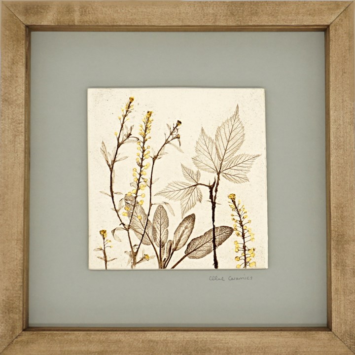 Box Framed Botanical Tiles