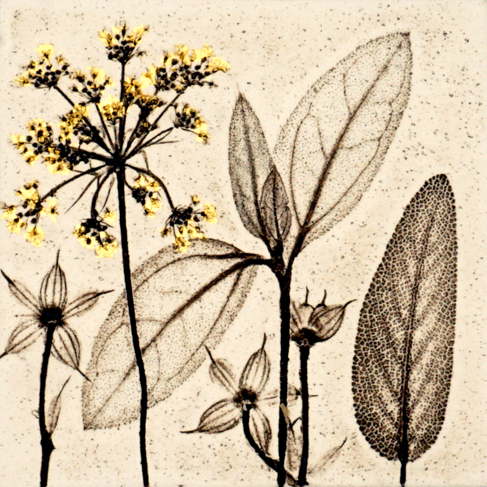 10cm Botanical Tile With 24ct Gold Leaf