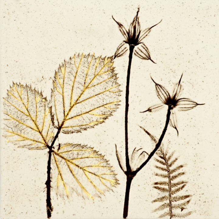 10cm Botanical Tile With 24ct Gold Leaf