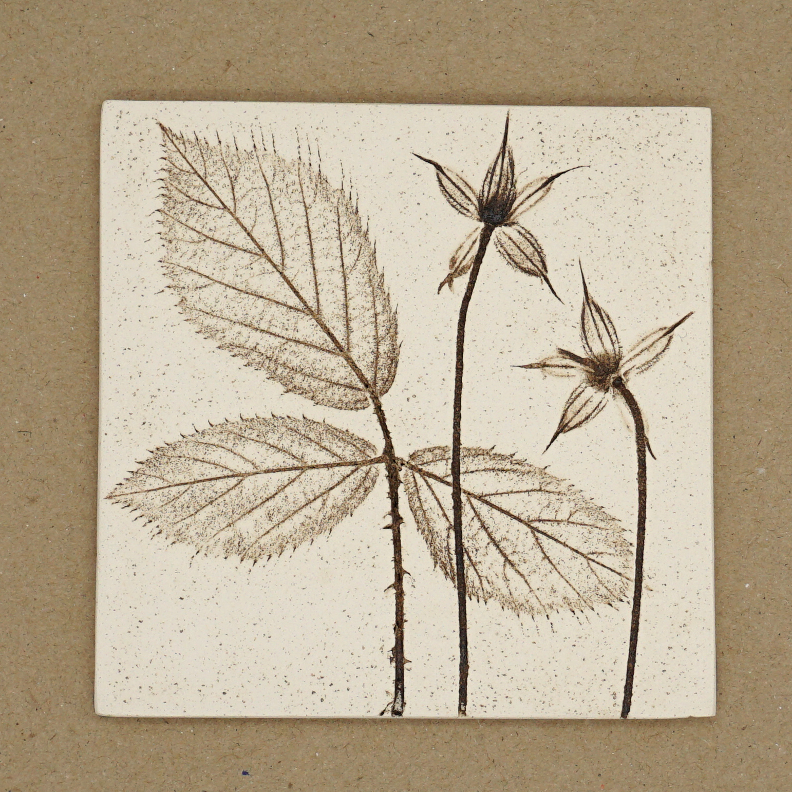 10cm Square Botanical Tile Natural