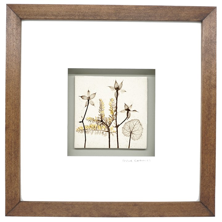 Box Framed Botanical Tile with 24ct Gold Leaf