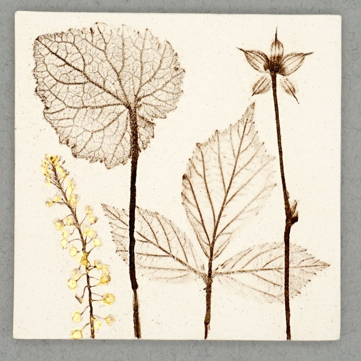10cm Square Botanical Tile With 24ct Gold Leaf